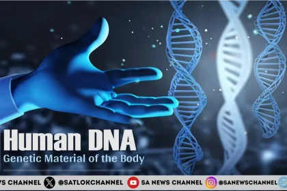 Human DNA: The Blueprint of Life || SA News