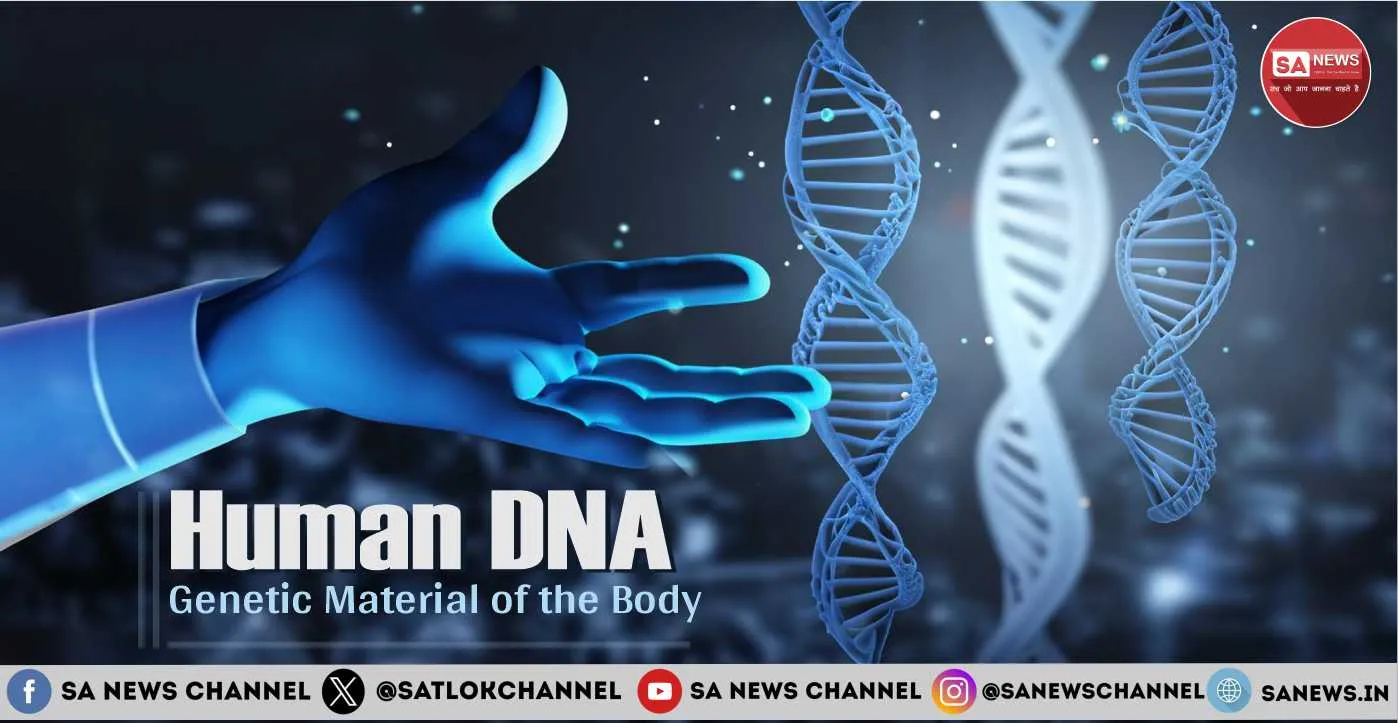 Human DNA: The Blueprint of Life || SA News