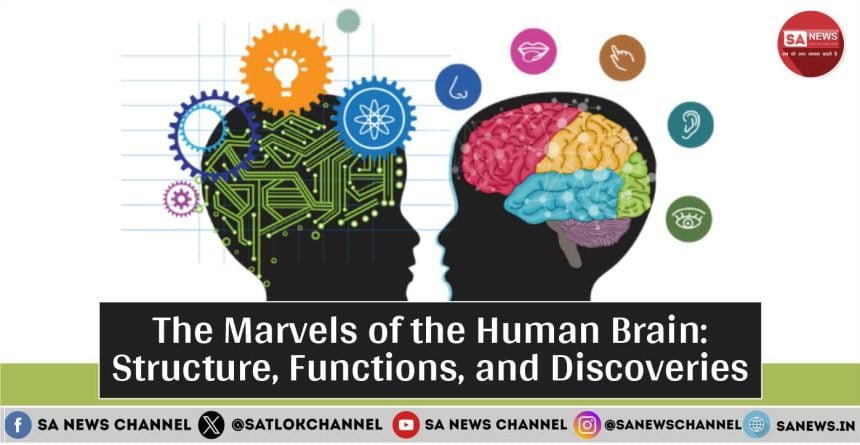 The Marvels of the Human Brain: Structure, Functions, and Discoveries