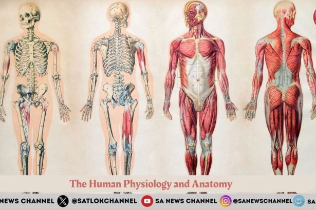 Unnoticed Miracle of God The Human Physiology and Anatomy