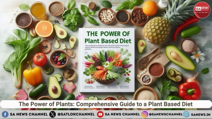 The Power of Plants Comprehensive Guide to a Plant Based Diet