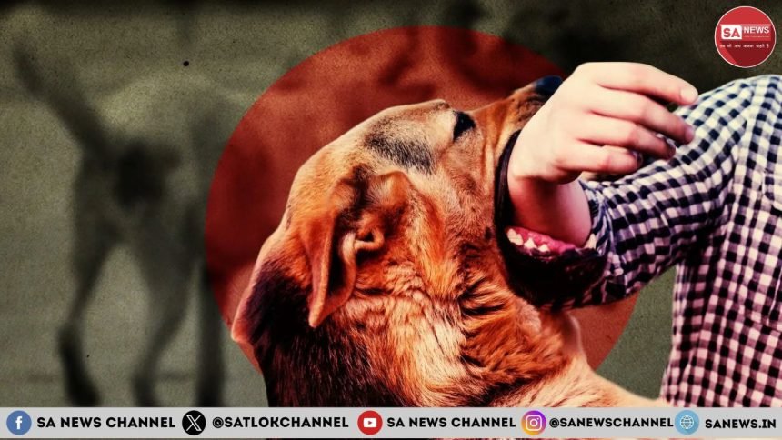 कुत्तों की जनसंख्या और इनके काटने के कारण बढ़ता जा रहा है मौतों का आंकड़ा