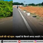 उत्तर प्रदेश में हरियाली की नई पहल सड़कों के किनारे लगाए जाएंगे 7 करोड़ फलदार पौध