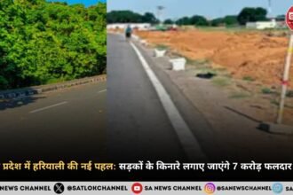 उत्तर प्रदेश में हरियाली की नई पहल सड़कों के किनारे लगाए जाएंगे 7 करोड़ फलदार पौध