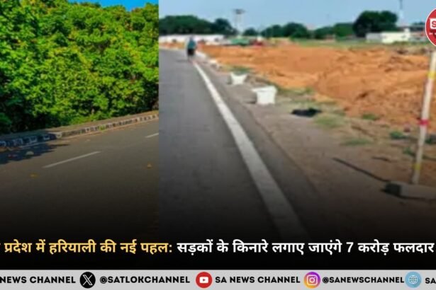 उत्तर प्रदेश में हरियाली की नई पहल सड़कों के किनारे लगाए जाएंगे 7 करोड़ फलदार पौध