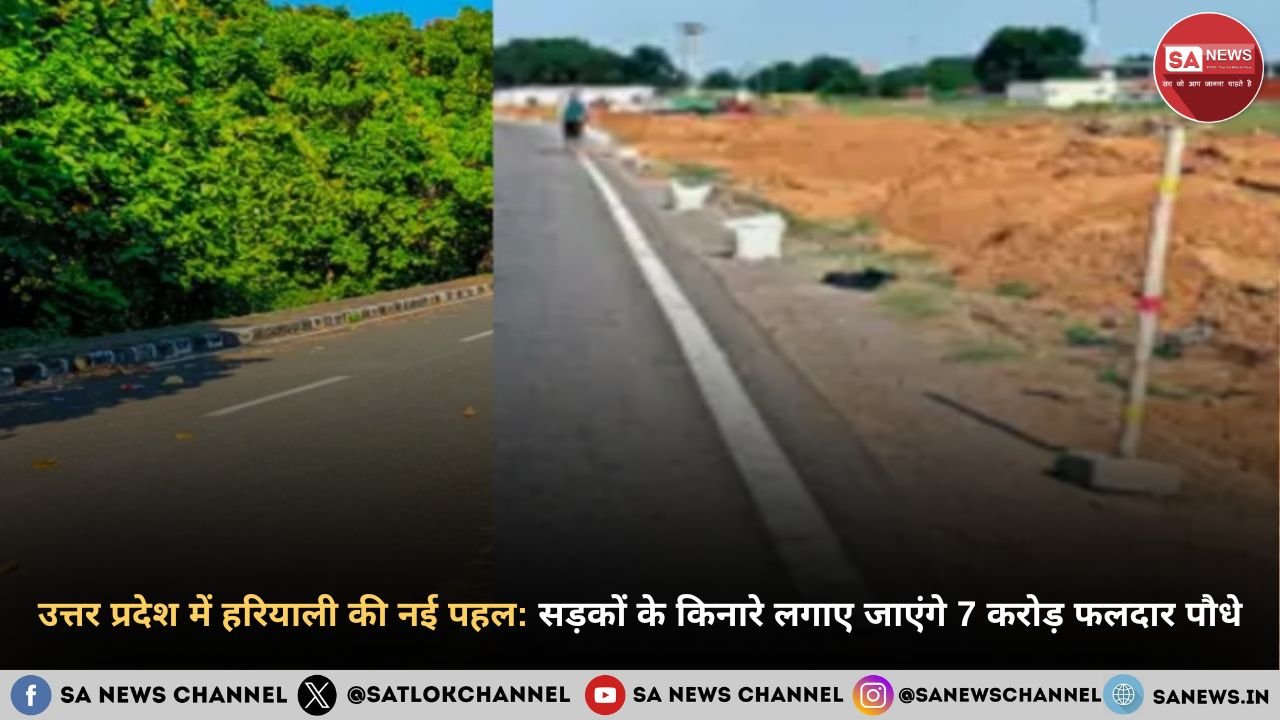 उत्तर प्रदेश में हरियाली की नई पहल सड़कों के किनारे लगाए जाएंगे 7 करोड़ फलदार पौध